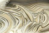 Freestanding Polished Striped Flint - Poland #377996-1